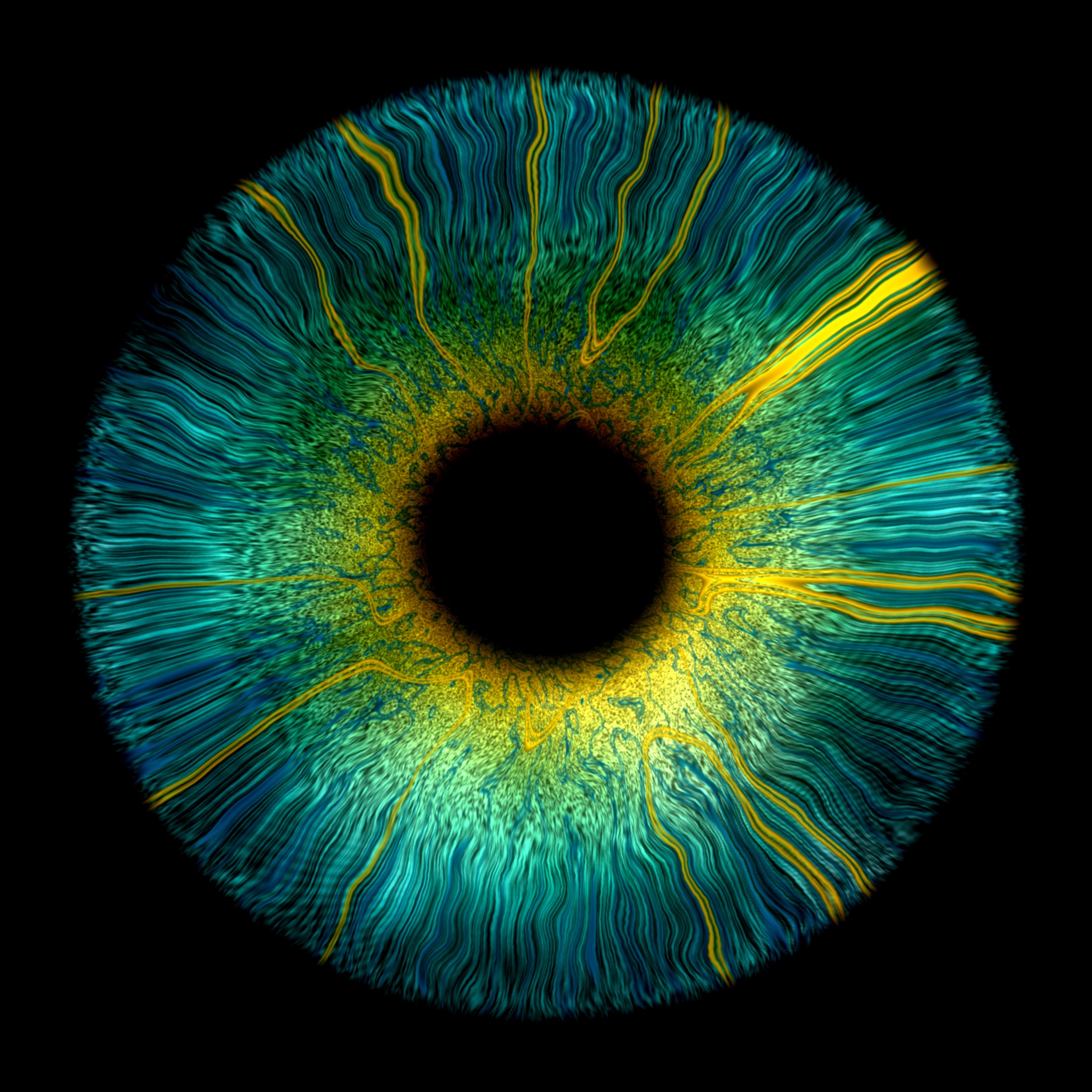 Iris